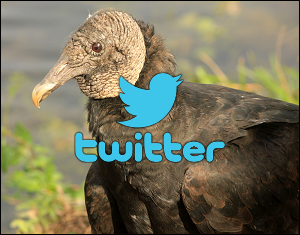 Twitter vultures