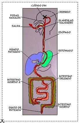 Mapa de la misin