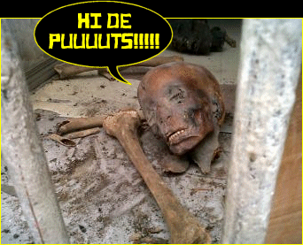 La venganza será terrible