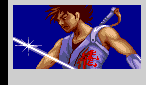 Strider Hiryu